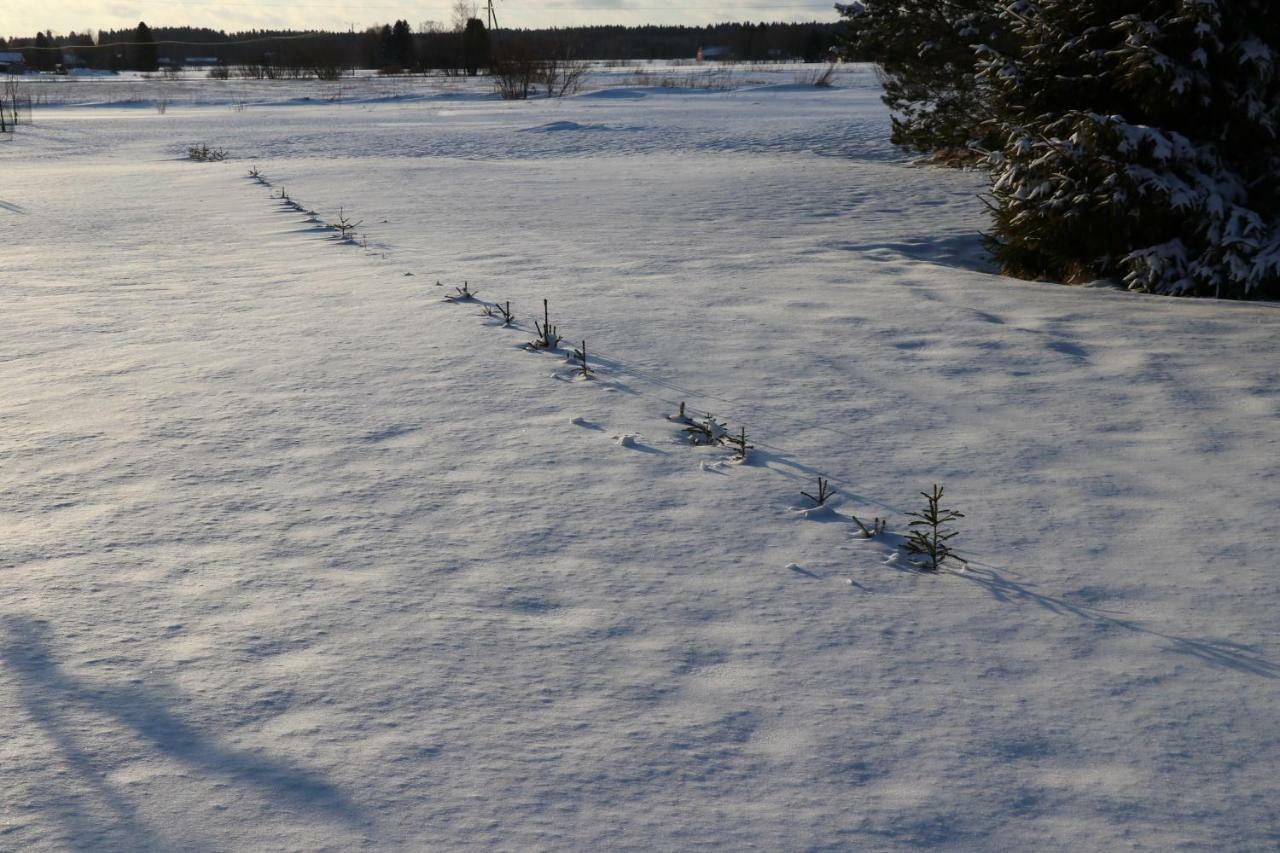 Affittacamere Simon Tupa Kauhajoki Esterno foto